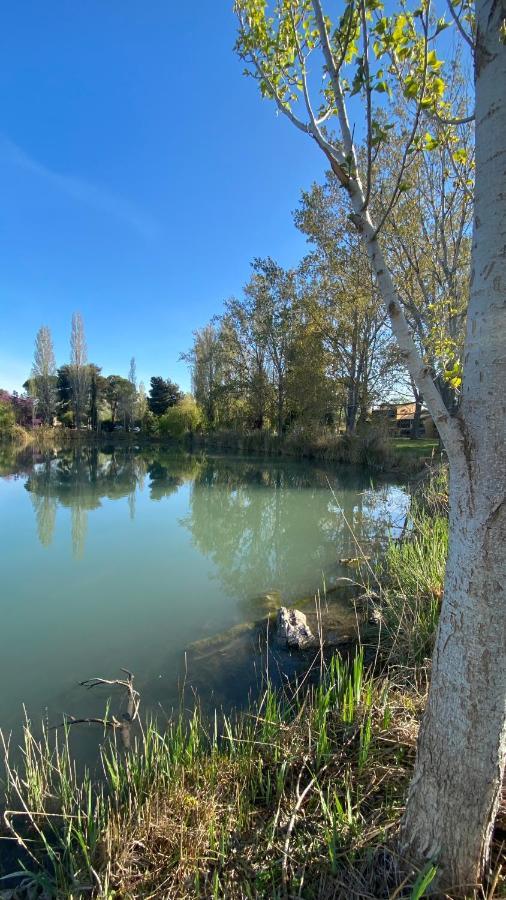 Joli Camargue Petit Rhone * Arles