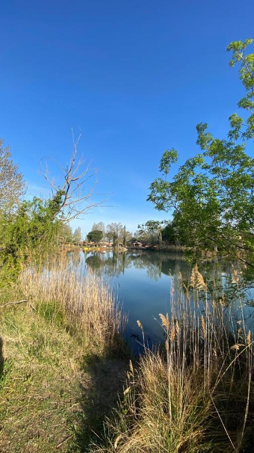 Joli Camargue Petit Rhone Arles