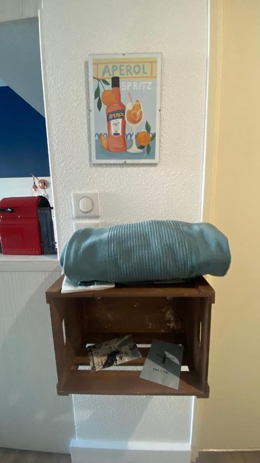 Joli Camargue Petit Rhone Apartment Arles