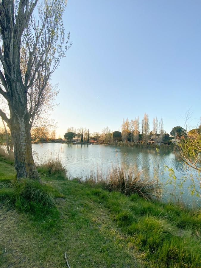 Joli Camargue Petit Rhone Arles
